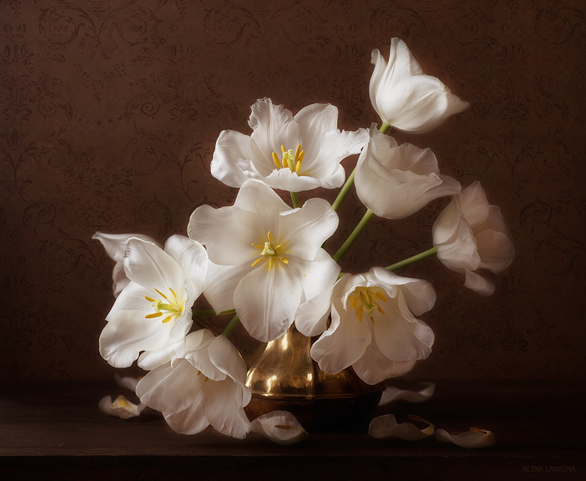 photo "***" tags: still life, flowers, light, тюльпаны, фотонатюрморт