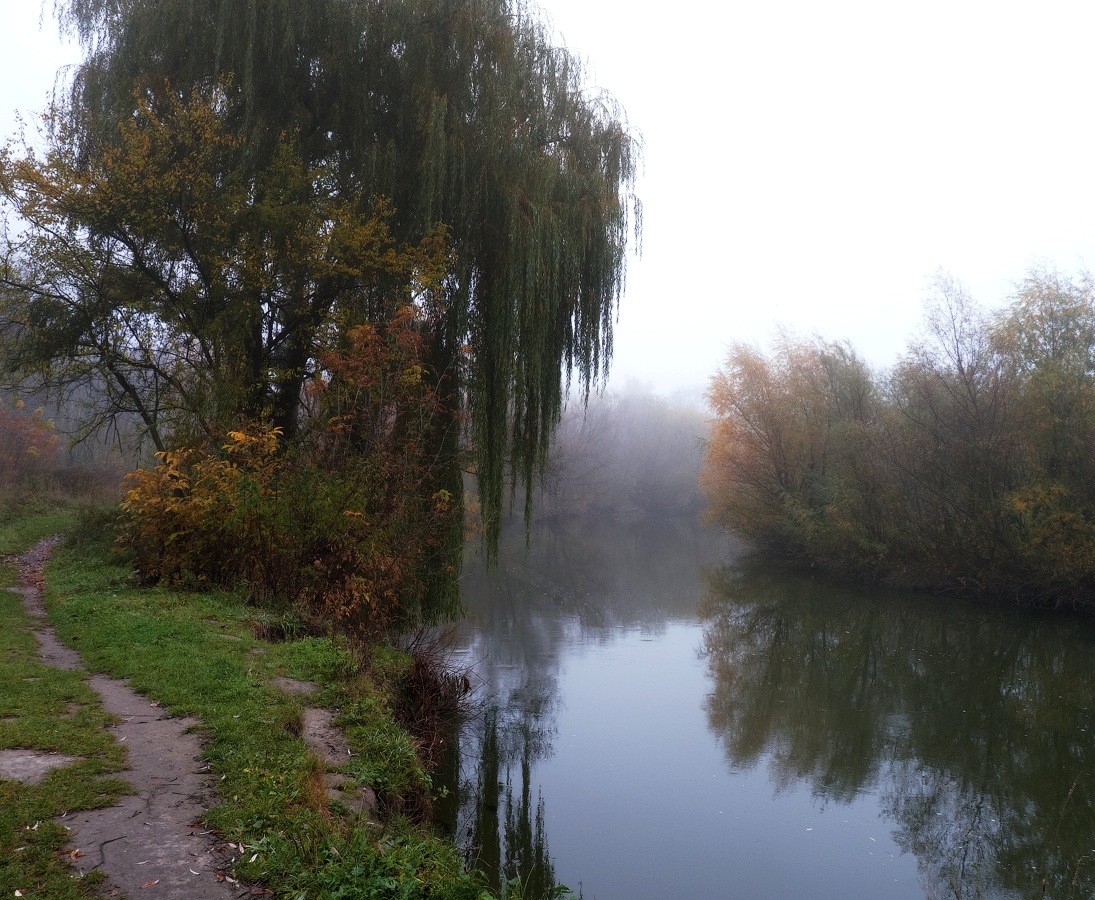 photo "At the turn of the river ..." tags: landscape, autumn, river, water, ива, поворот