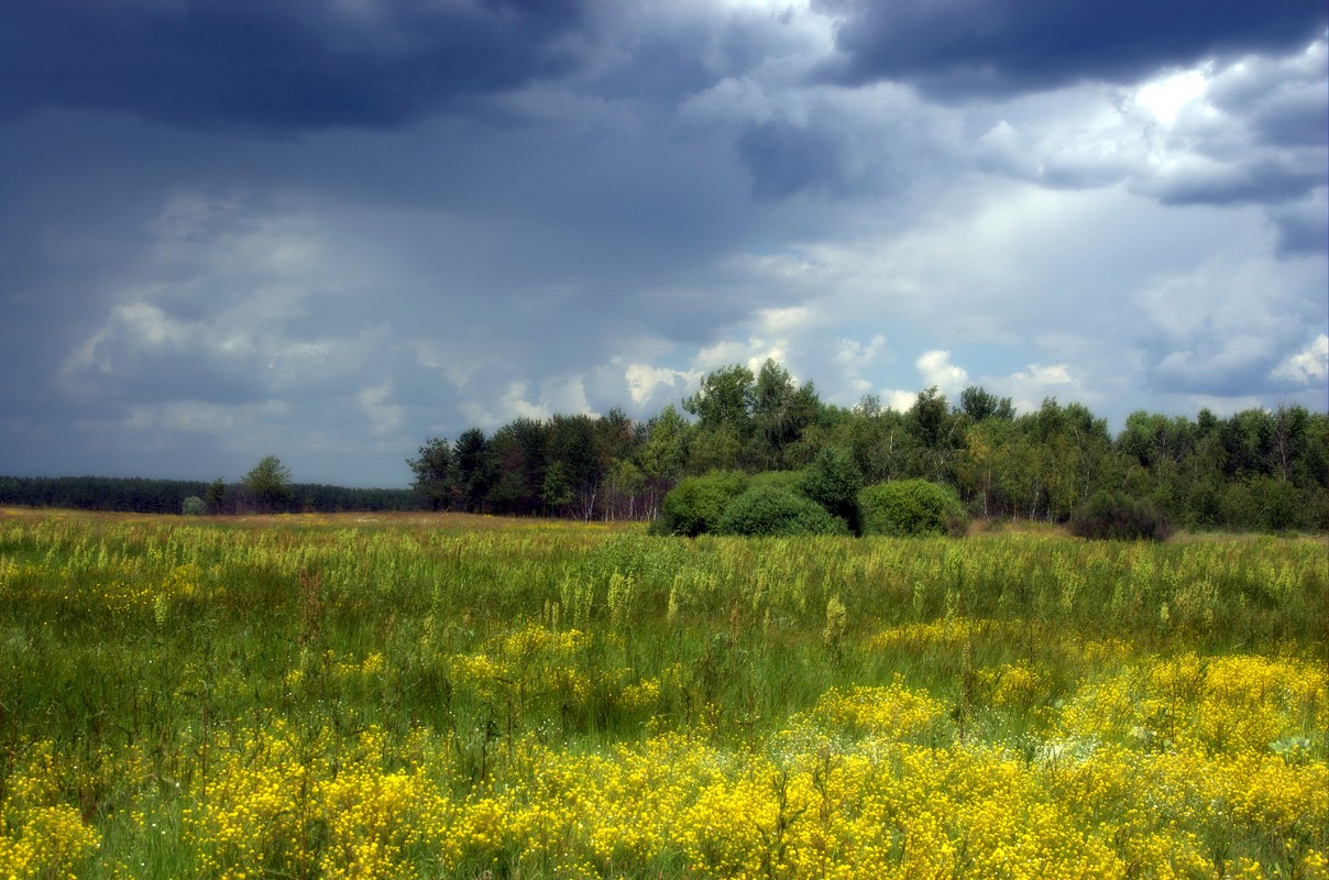 photo "***" tags: landscape, 
