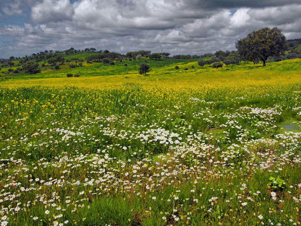 photo "***" tags: landscape, 