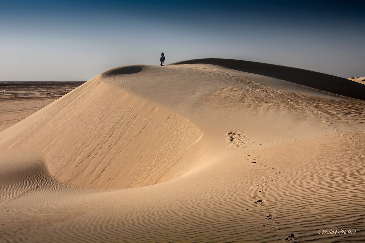 photo "Follow the traces" tags: landscape, travel, nature, Africa, Sand, desert