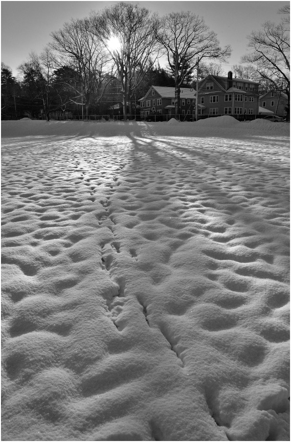 photo "March snow" tags: landscape, black&white, snow, spring