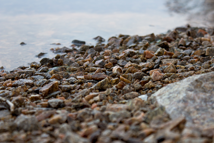 photo "***" tags: macro and close-up, fragment, Dnieper, Ukraine, coast, Запорожье, апрель