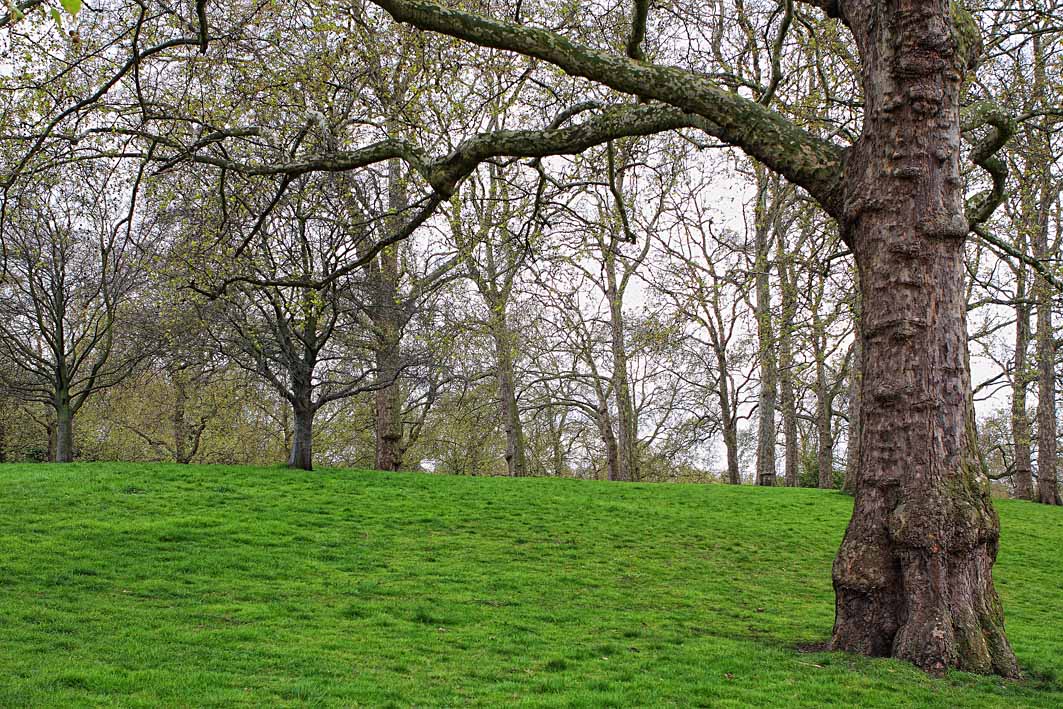 фото "Green Park" метки: пейзаж, 