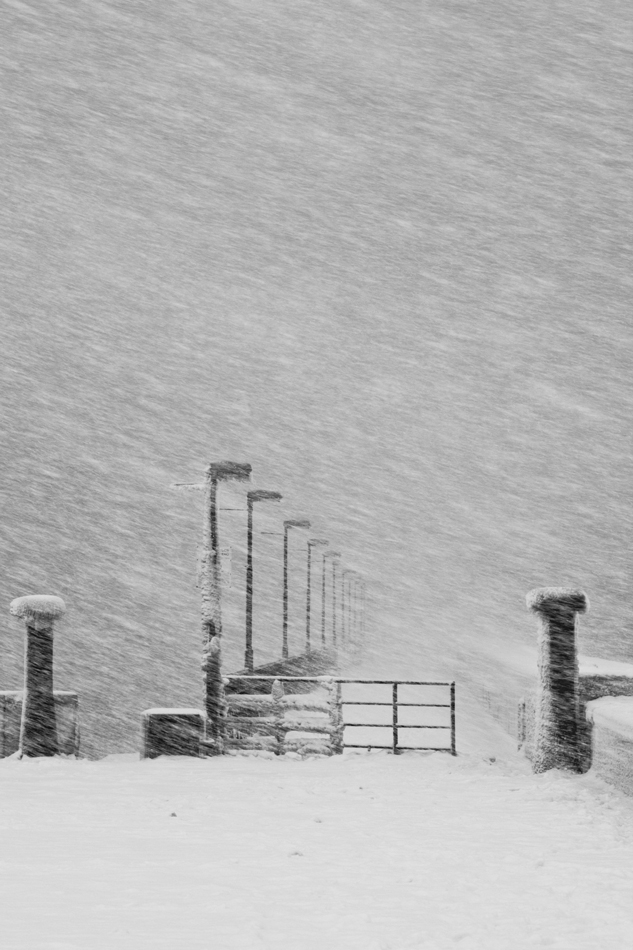 photo "Winter graphics" tags: nature, black&white, 