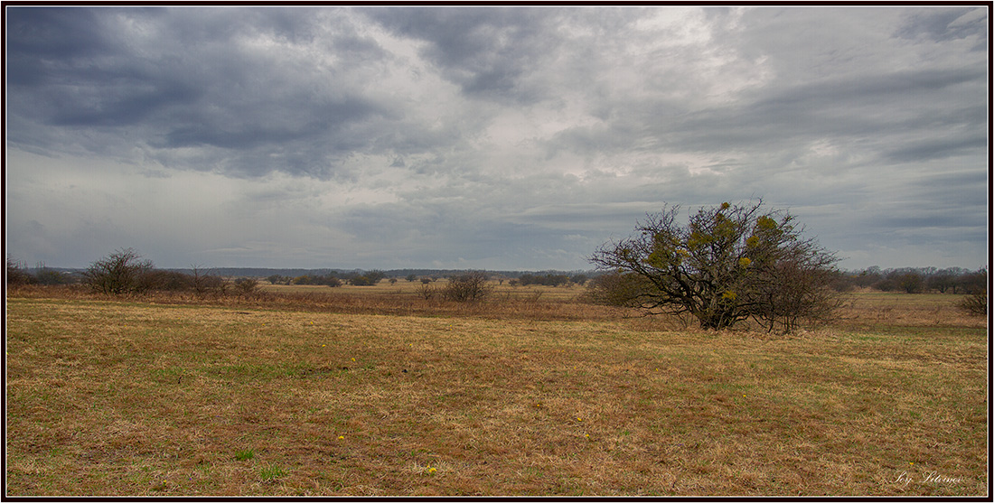 photo "***" tags: landscape, spring