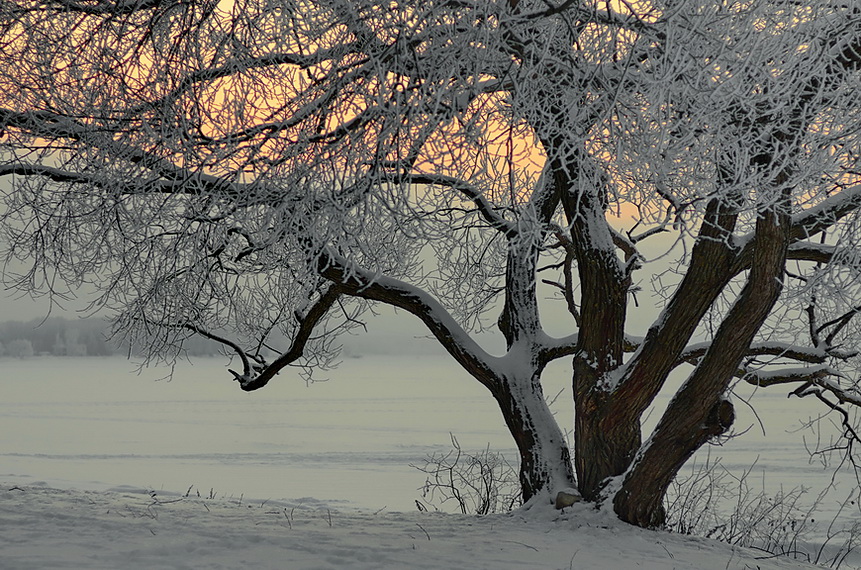 фото "..." метки: , 