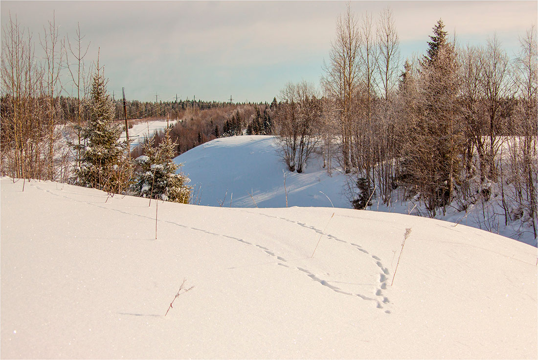 photo "***" tags: landscape, nature, 