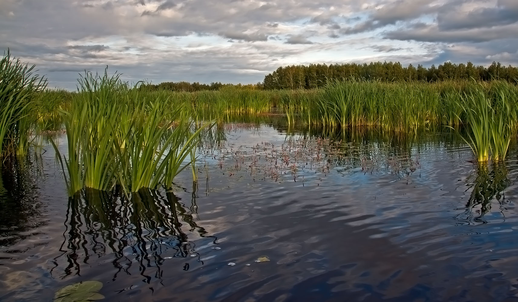 фото "***" метки: пейзаж, 