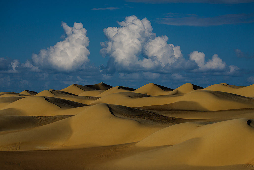 фото "Dunes 11" метки: путешествия, пейзаж, desert, Африка