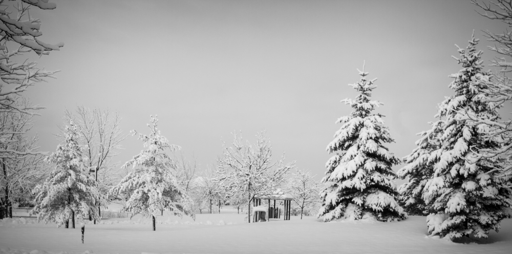 photo "Wonderland" tags: landscape, black&white, nature, North America, winter