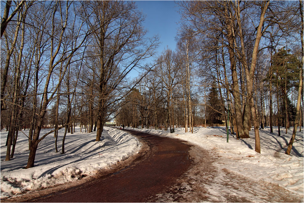 фото "Весна пришла в парк" метки: пейзаж, 