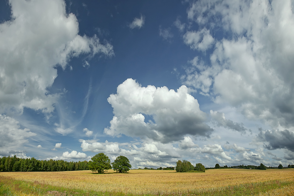 photo "***" tags: landscape, clouds, summer, Беларусь