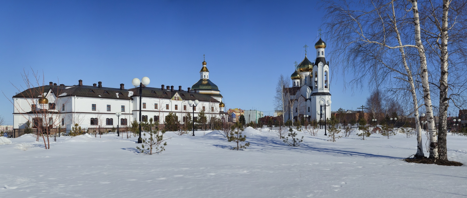 photo "***" tags: landscape, city, panoramic, birches, snow, spring, temple, день, солнечный день