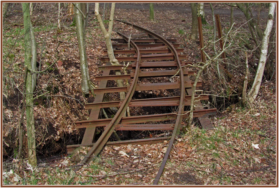 photo "FINIS MUNDI" tags: landscape, nature, still life, bog, forest, moor, rail, wood