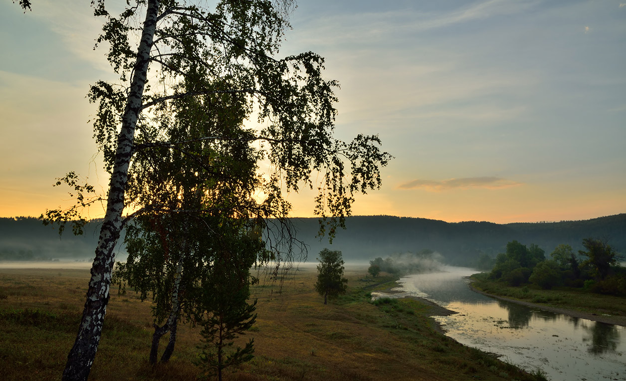 photo "***" tags: landscape, fog, morning, river, summer, деревья