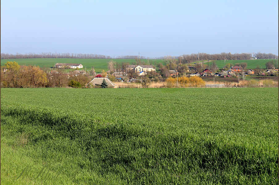 photo "***" tags: landscape, spring