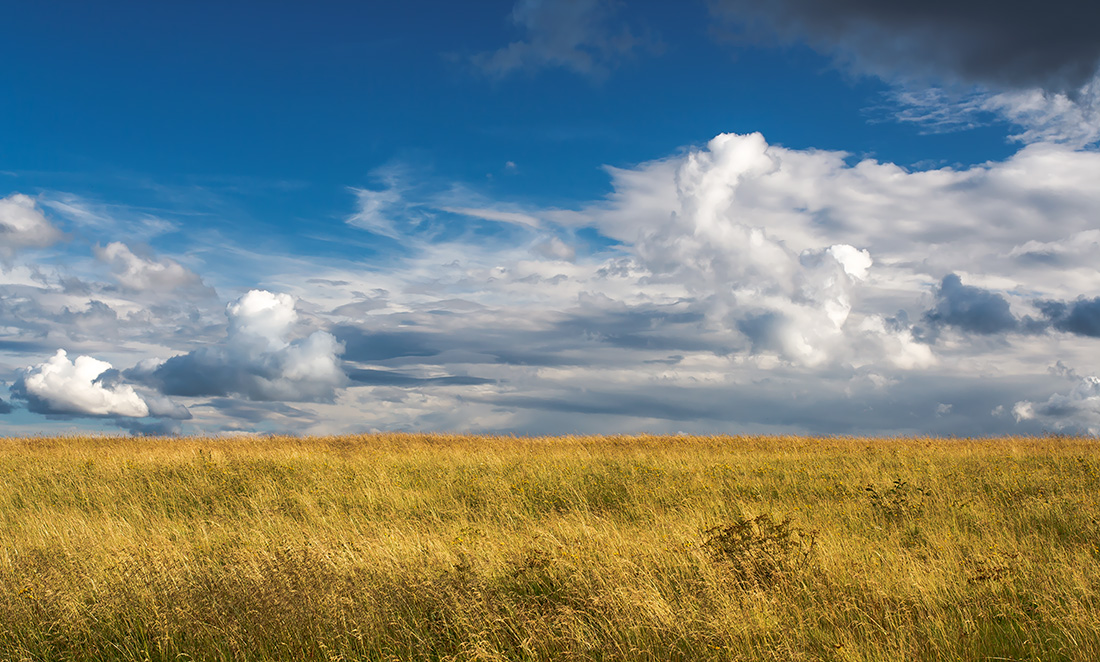 фото "Das Gewitter kommt, gleich....." метки: , 