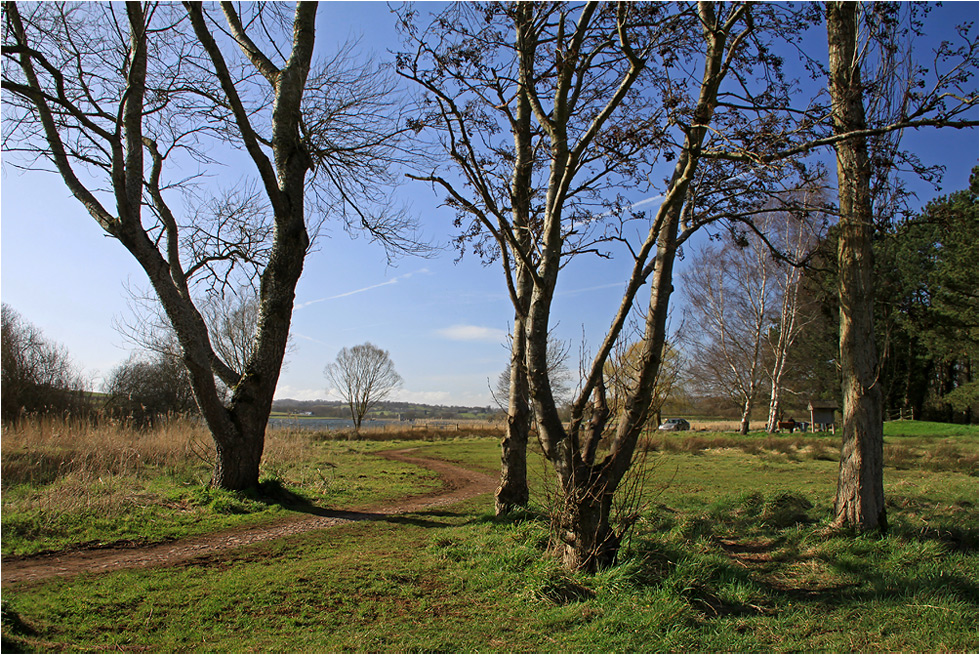 photo "April." tags: nature, spring, sun, дерева