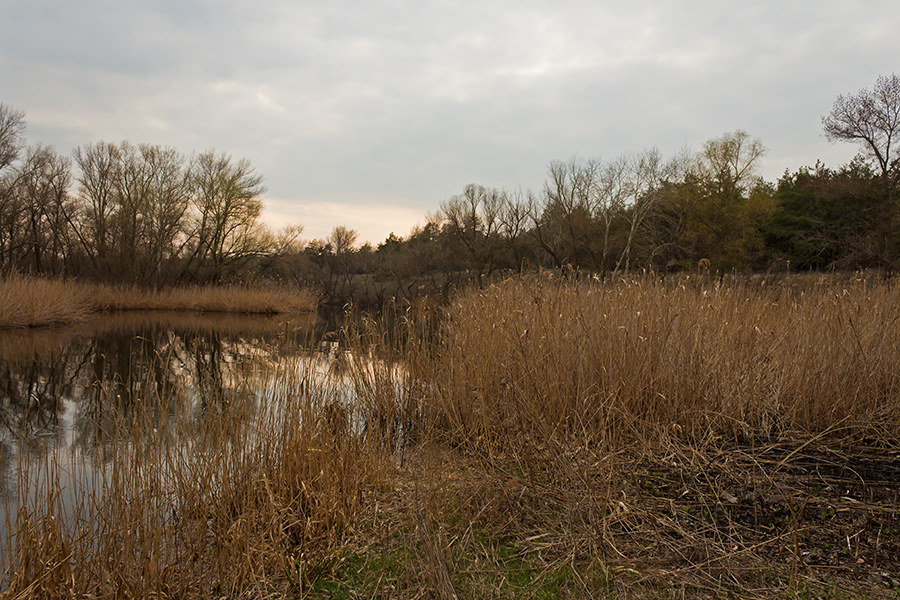 photo "***" tags: landscape, Dnieper, Ukraine, Запорожье