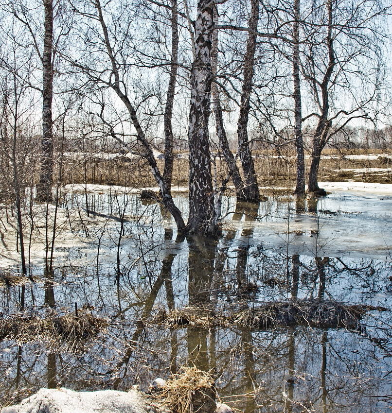 фото "ВЕСЕННИЙ ЭТЮД" метки: пейзаж, 