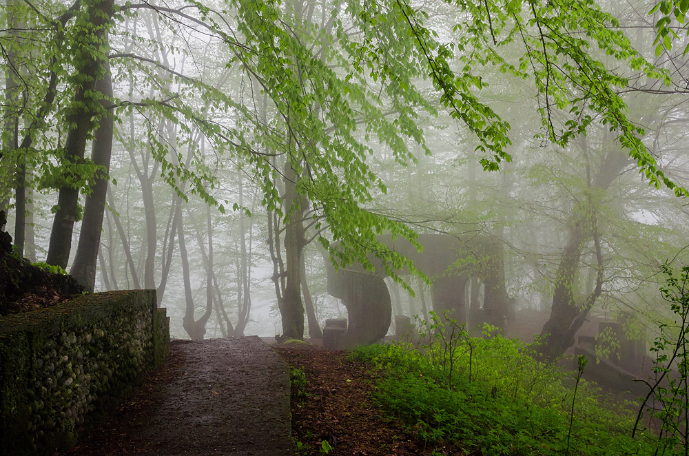 фото "Туманное утро" метки: пейзаж, Кавказ, весна, лес
