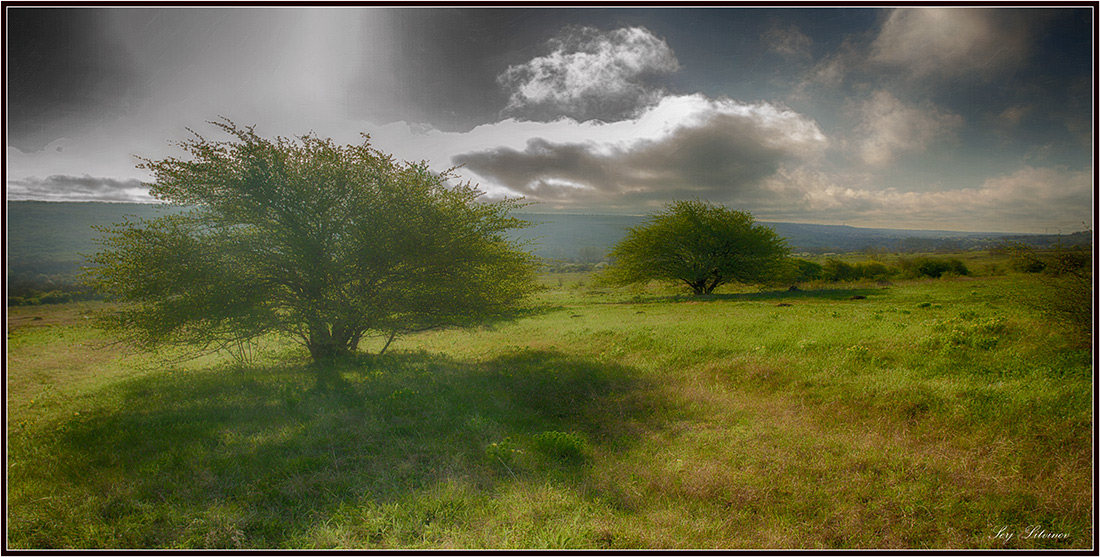 photo "***" tags: landscape, spring