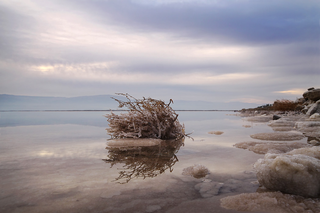 photo "Перекати-поле" tags: landscape, 