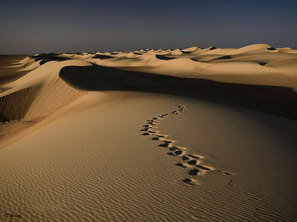 фото "Dunes 14" метки: путешествия, пейзаж, desert, Африка