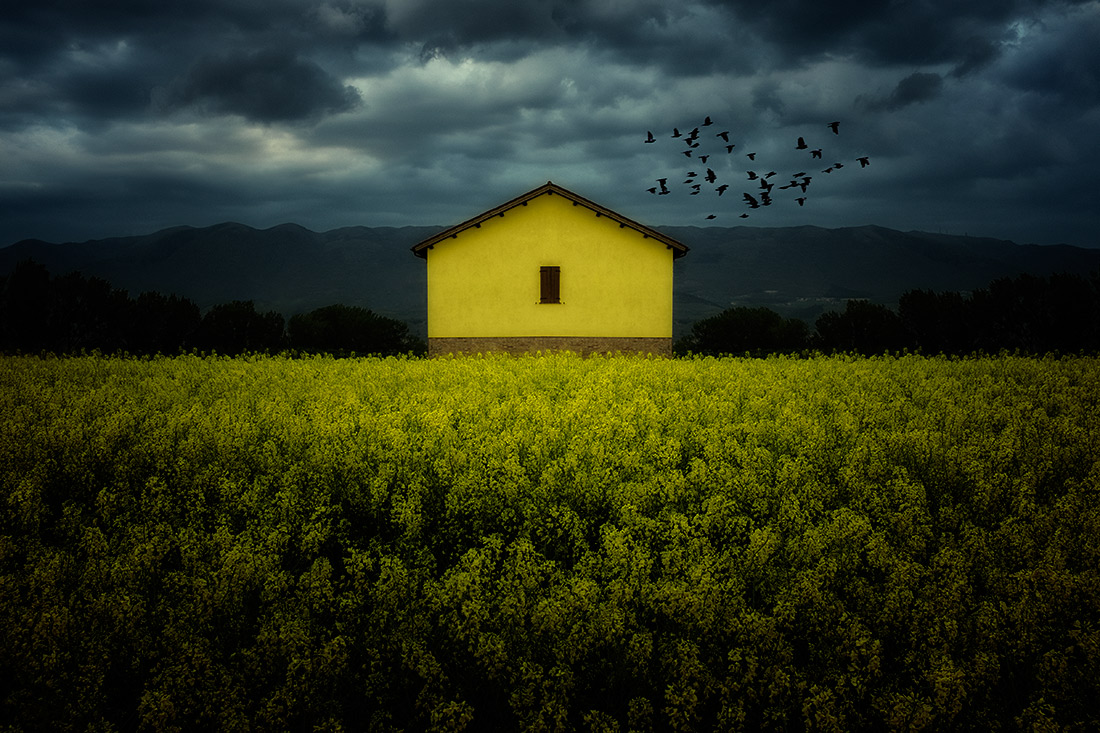 photo "yellow on yellow" tags: landscape, 