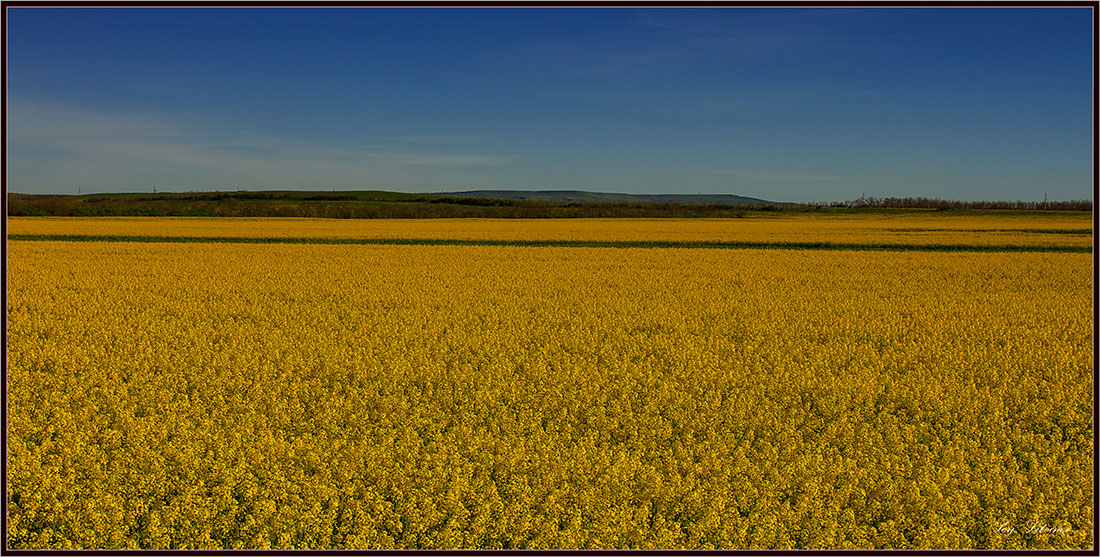 фото "***" метки: пейзаж, весна