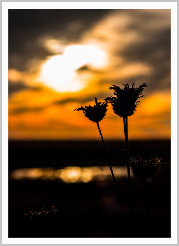 photo "Sunset on the River Chulym" tags: nature, river, sky, summer, sunset, water, Ачинск, Красноярский край, сибирь