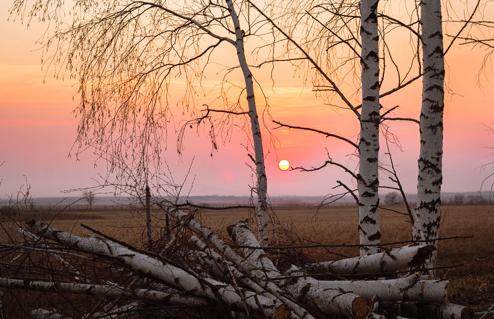 фото "Тамбовский закат" метки: пейзаж, 