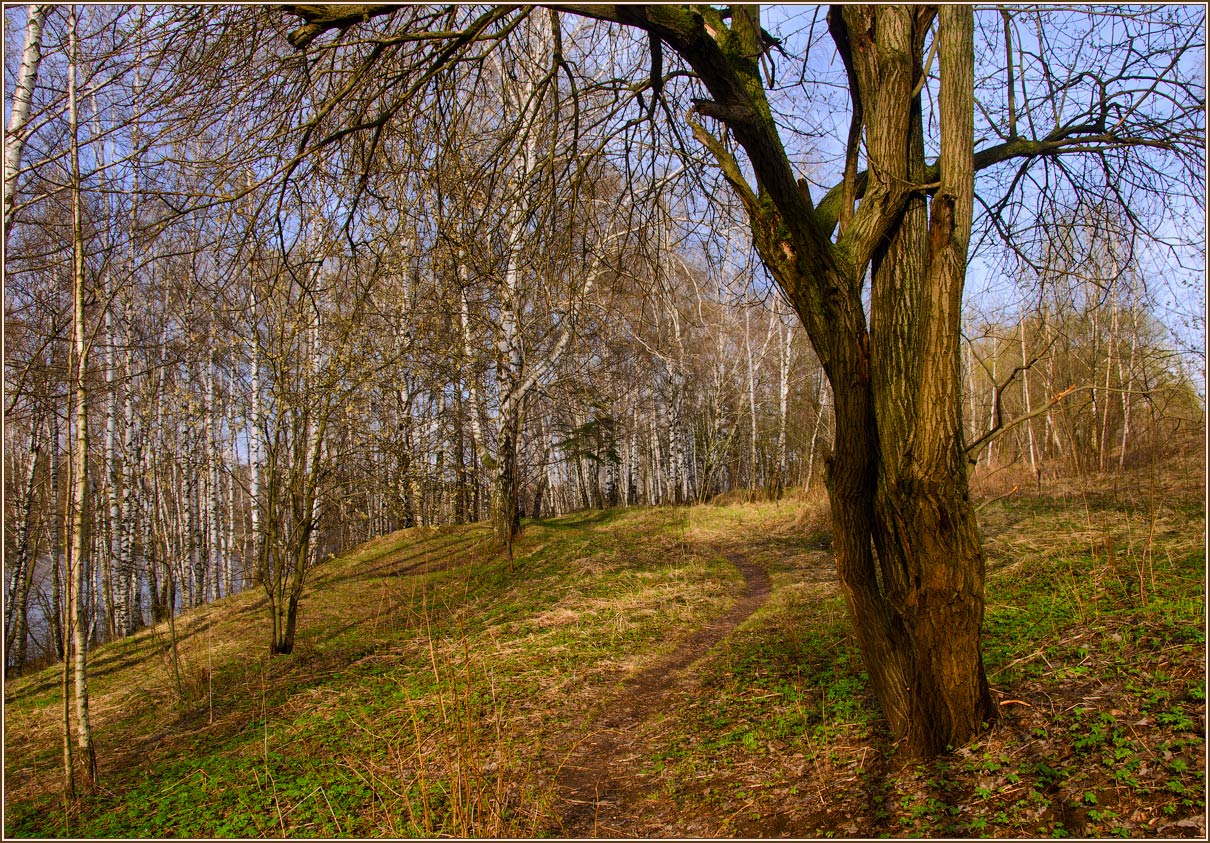 photo "***" tags: landscape, spring