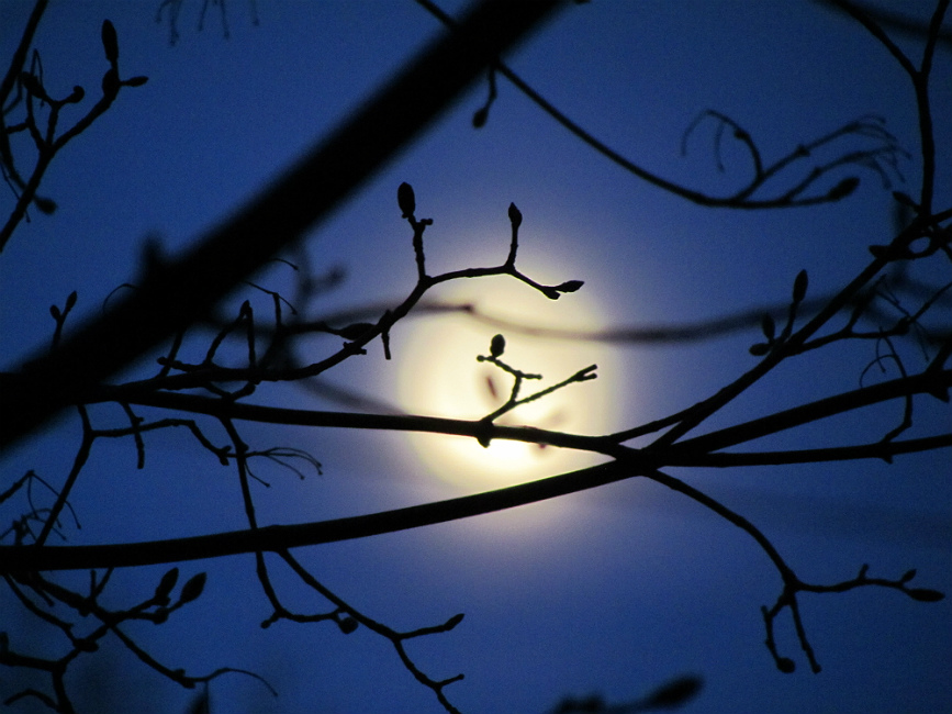 photo "decreasing moon" tags: landscape, nature, fragment, Moon