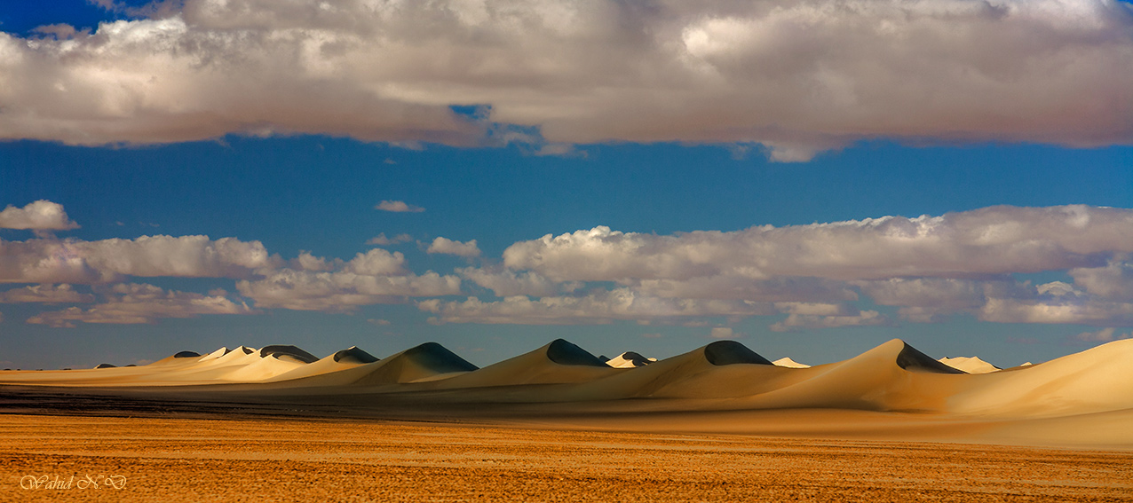 photo "Melody of Dunes" tags: landscape, nature, travel, Africa, Dseert