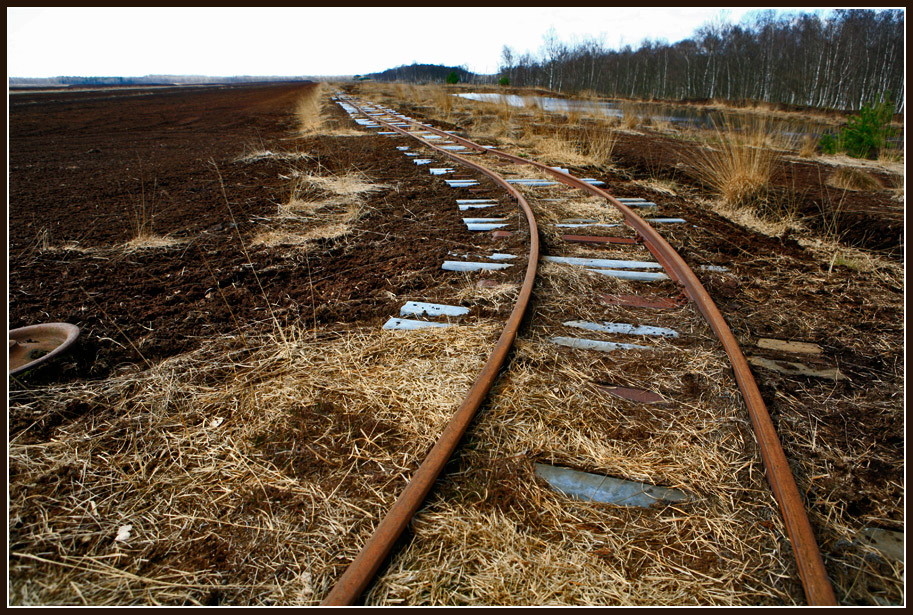 photo "In the bog" tags: landscape, reporting, bog, rail, railway