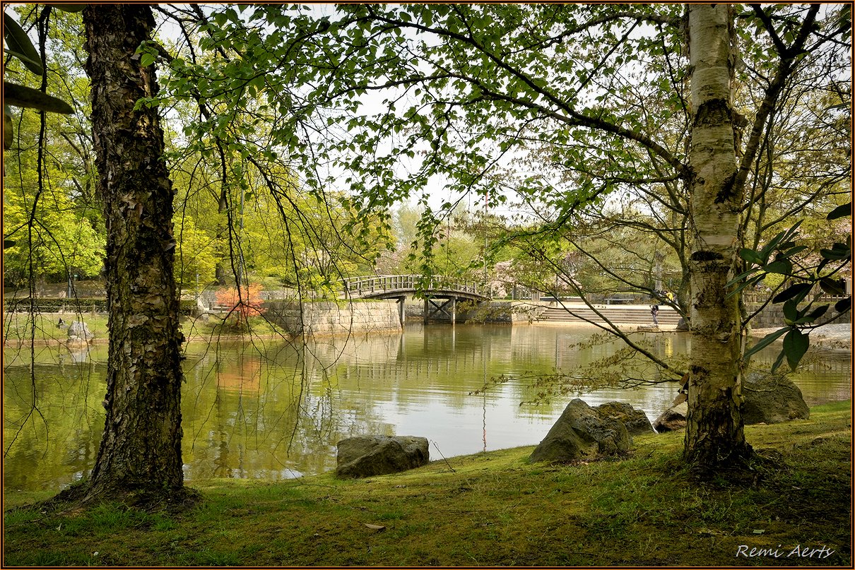 photo "***" tags: landscape, nature, reporting, flowers, spring, water