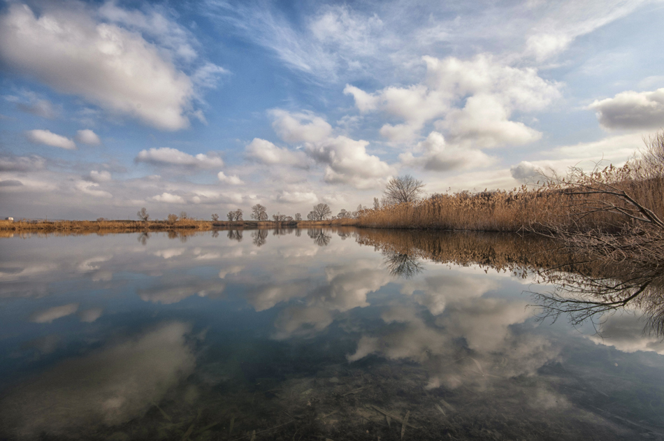 photo "The Sky Is Crying" tags: landscape, 