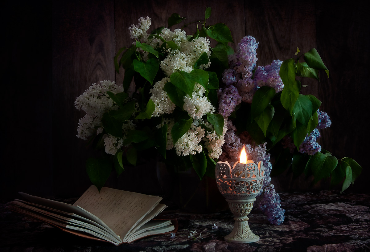 photo "Night with the scent of lilacs" tags: still life, 