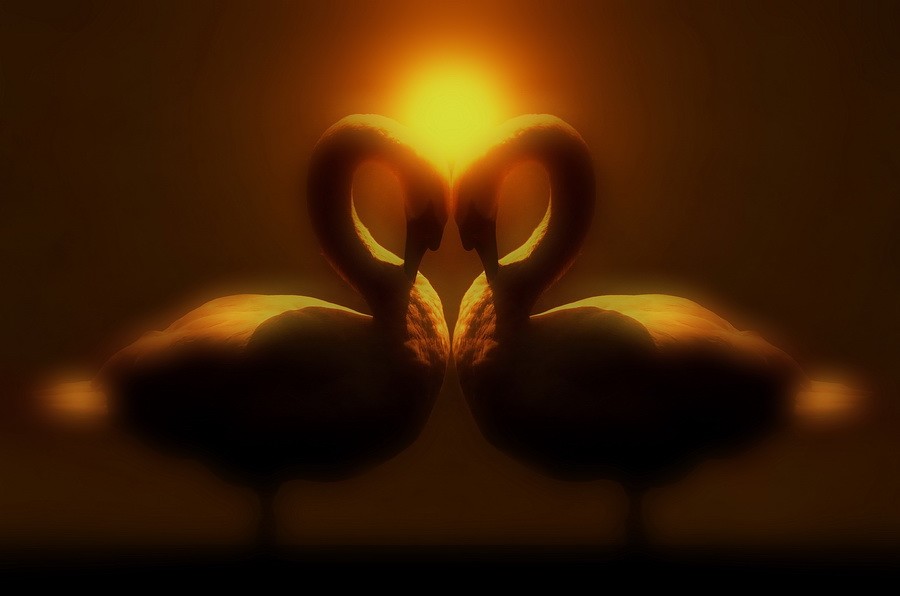 photo "***" tags: montage, abstract, 