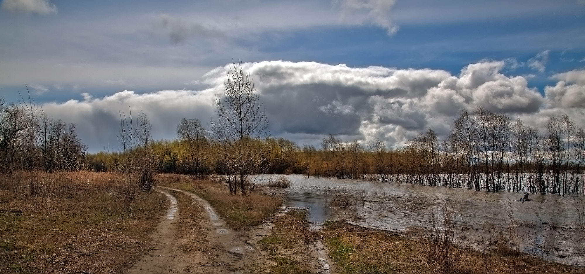 фото "***" метки: пейзаж, 