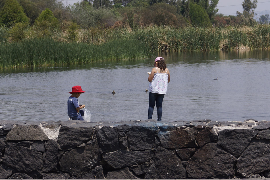 photo "***" tags: landscape, nature, reporting, Mexico DF