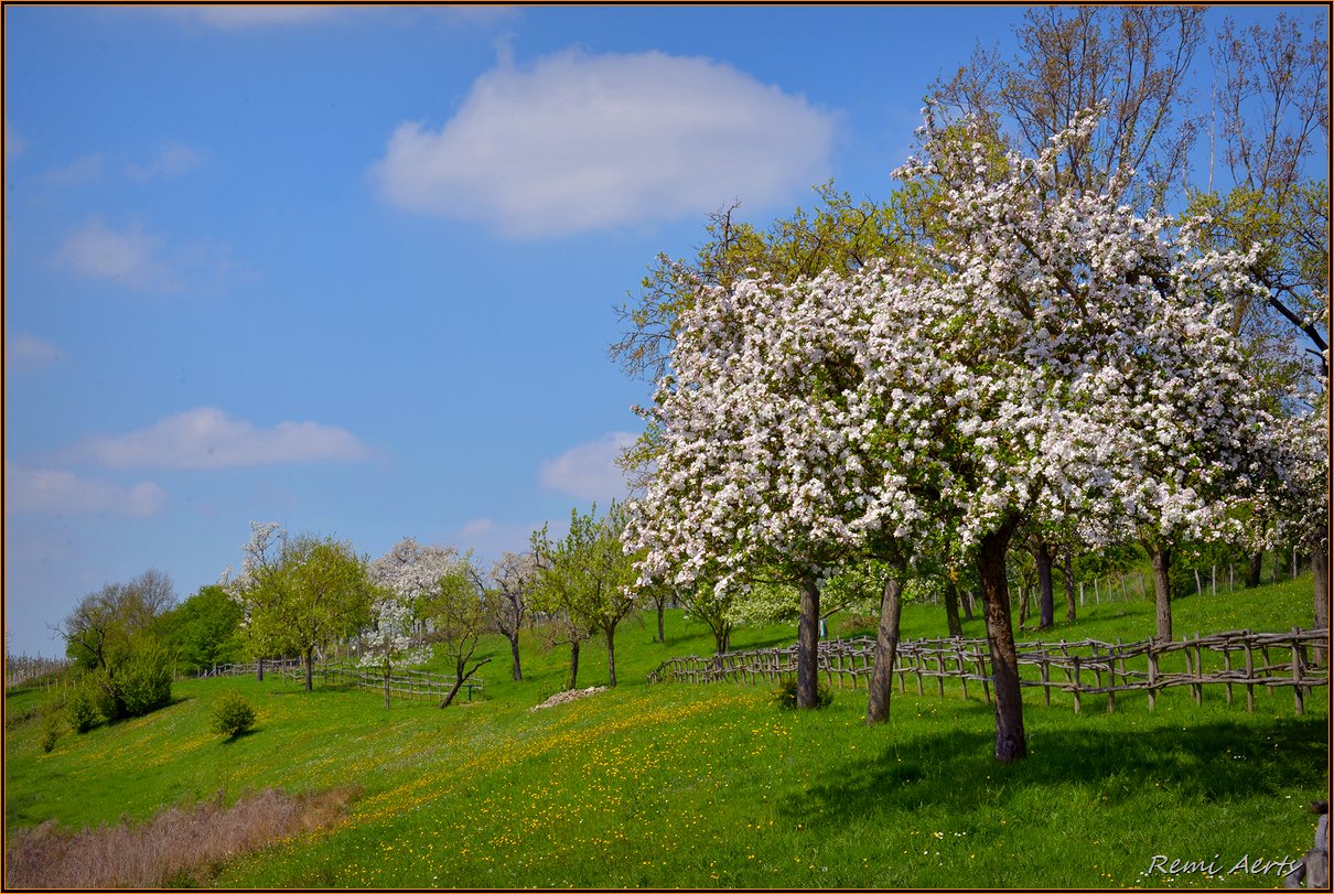 photo "Photo ... on ..." tags: landscape, nature, spring
