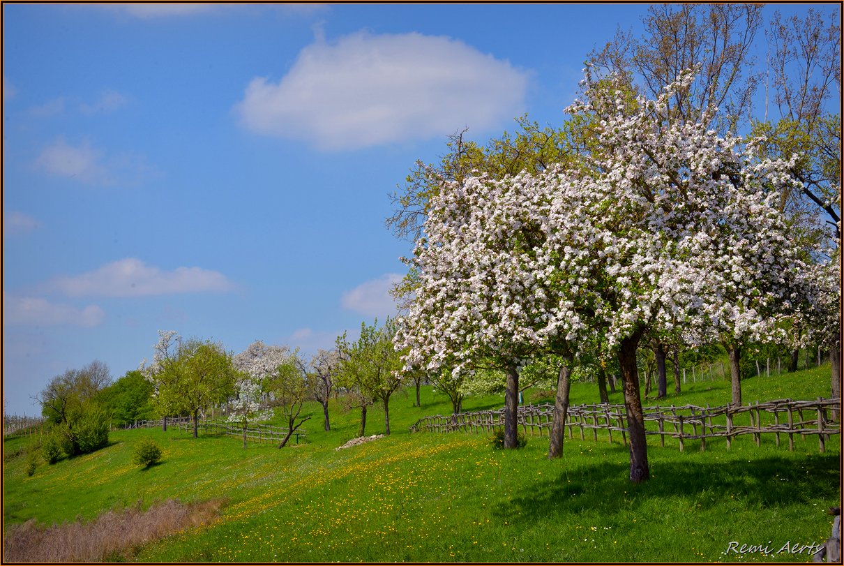 photo "Photo ... on ..." tags: landscape, nature, spring