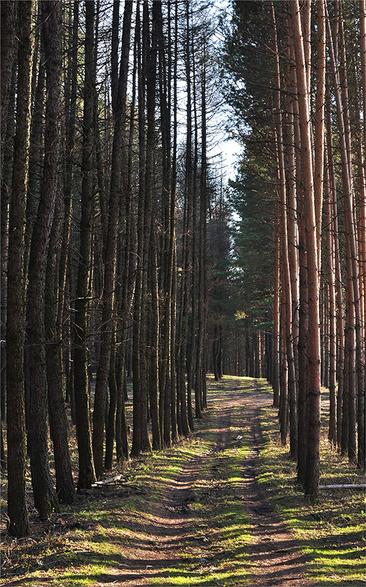 photo "***" tags: nature, landscape, 