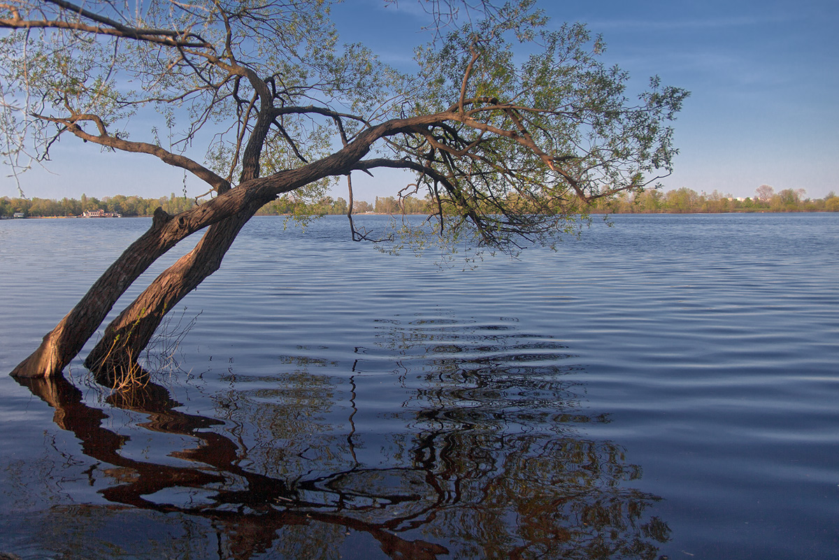 photo "***" tags: landscape, nature, river, tree, water, отражение