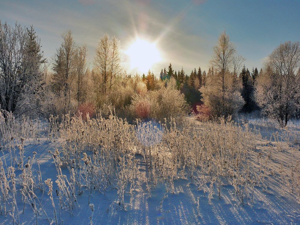 фото "мороз и солнце" метки: пейзаж, природа, 