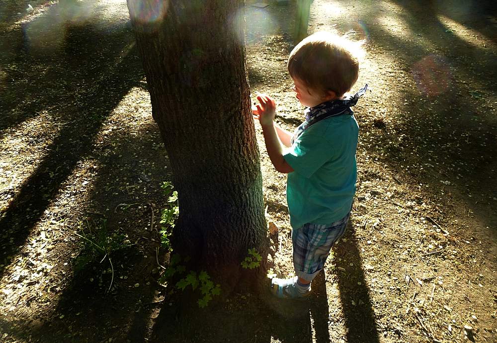 фото "диалог" метки: , 