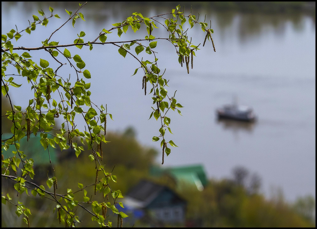 фото "Майские зарисовки..." метки: пейзаж, 